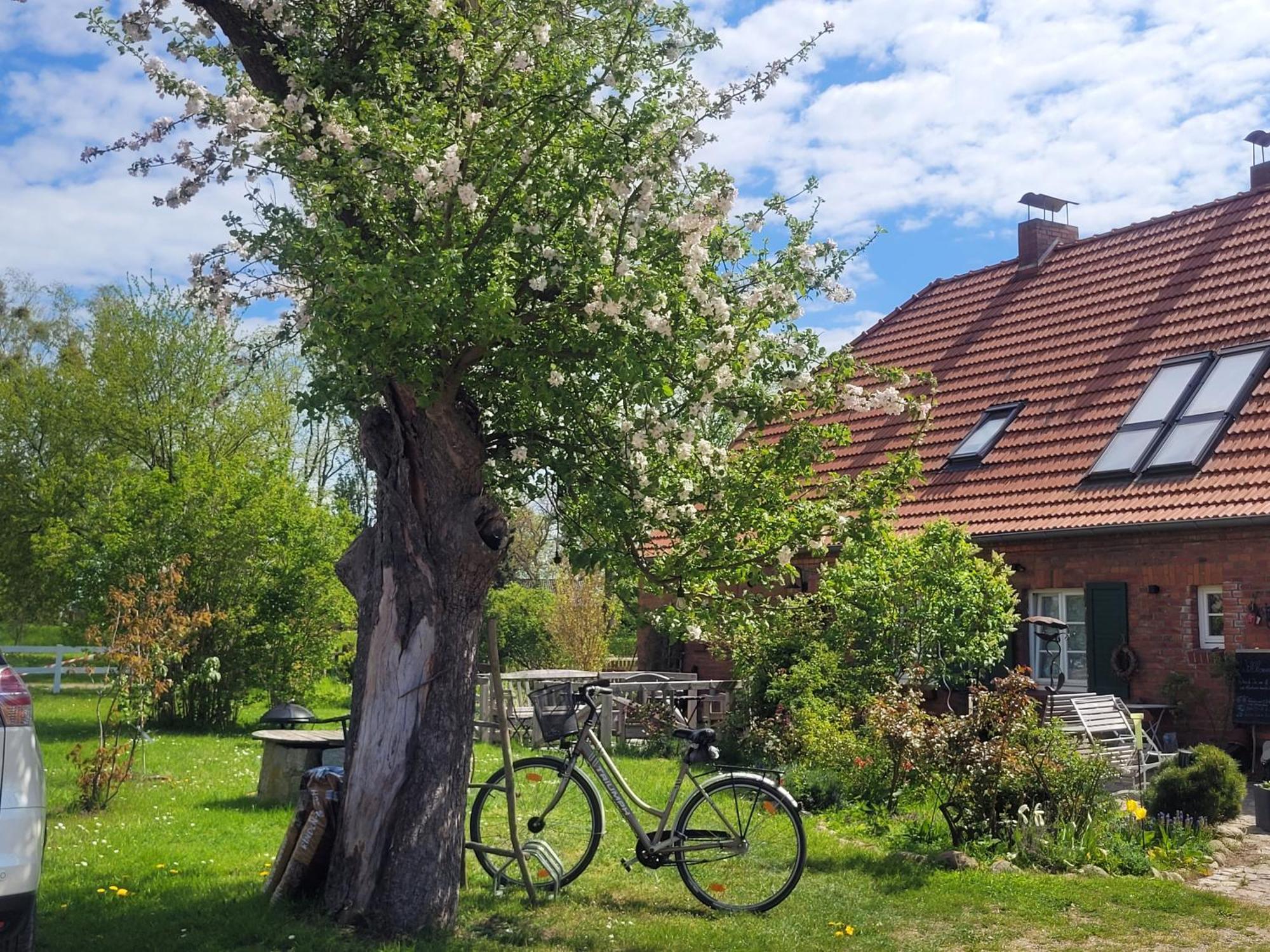 Seminar Und Landhaus Schoenbeck Schonbeck (Mecklenburg-Vorpommern) Exterior foto